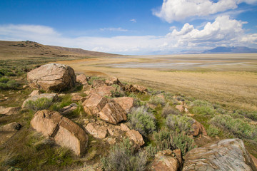 American Plains 4