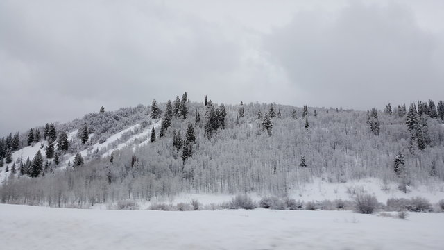 Logan Canyon