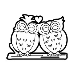 owls vector illustration