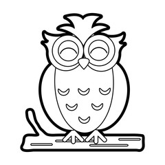 Owl vector illustration