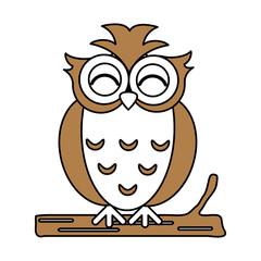 owl vector illustration