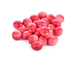 Carissa carandas Linn,Karanda, Carunda isolated on white background