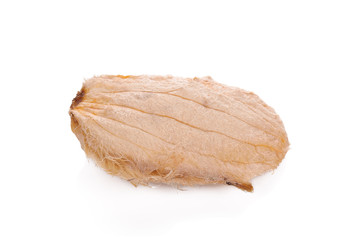 Seed of mango on white background