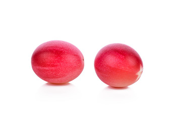 Carissa carandas Linn,Karanda, Carunda isolated on white background