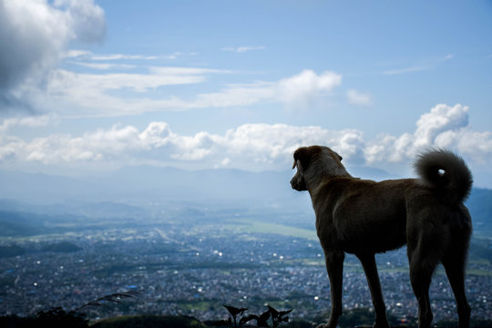 Everyone Likes A Good View!