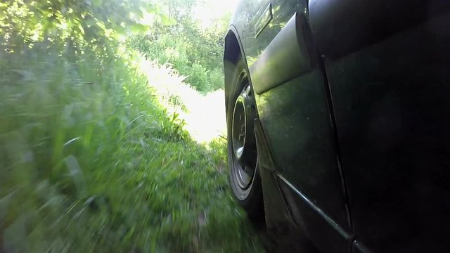 
Car goes on  green summer wood with grass. POV clip
