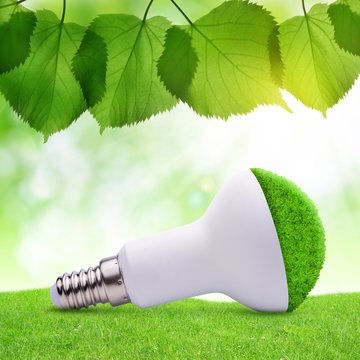 Eco LED bulb in grass. Energy saving lamp.