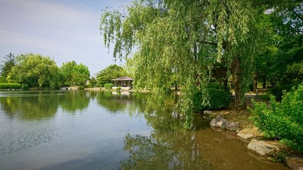 日本の庭園