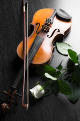 Violin and rose on black background.