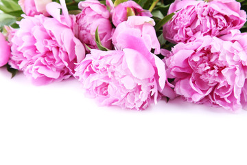 Bouquet of peony flowers on white background