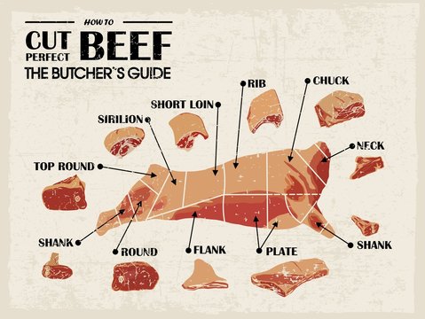 Vintage Poster Butcher diagram and scheme - Cow. Cut of meat set. Vector illustration.