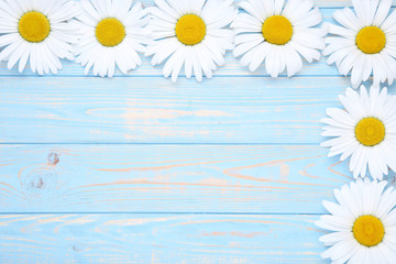 Chamomile flowers on blue wooden table