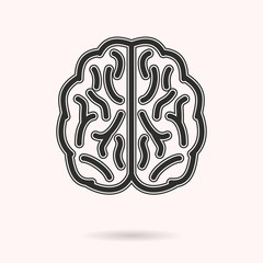 Brain vector icon.