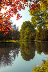 Images of trees in the pond in the autumn park