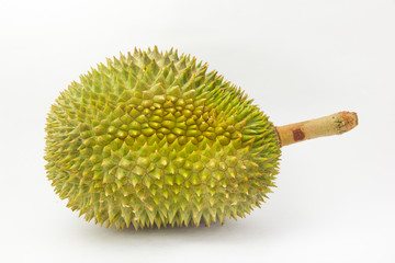 Durian fruit isolated white background