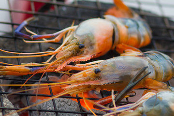 Grilled prawns on the grill