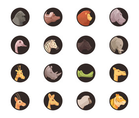 Round Animal Avatars Collection