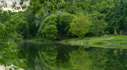 Fototapeta na wymiar Forest reflected in a small lake.
