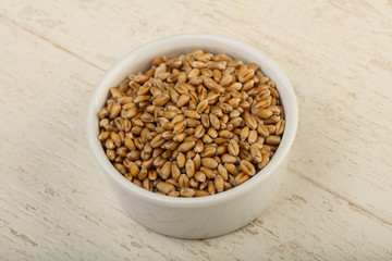 Wheat grains