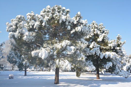 Kar Images – Parcourir 9,937 le catalogue de photos, vecteurs et vidéos ...