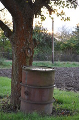 Obraz premium Fass vor Baum