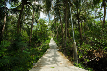 The walk in the park