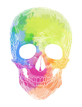 Human skull with rainbow watercolor splashes on a white background. Vector element for your design