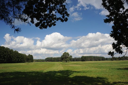 Markertsche Bruch bei Ahlbeck