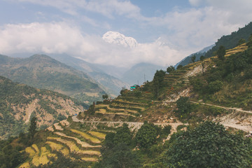 Fototapeta na wymiar Landschaft in Nepal