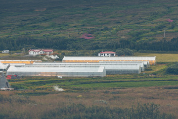 Fototapeta na wymiar Geothermal greenhouses in Iceland