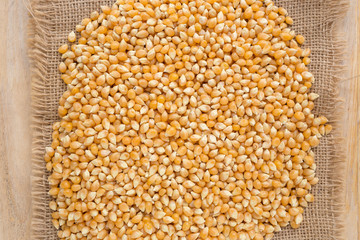 Top view of corn seeds pile as background