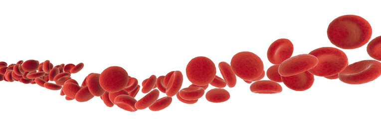 red blood cells isolated on white - obrazy, fototapety, plakaty