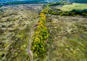 landscape of suburb field with trees and rolled road in autumn, aerial photo
