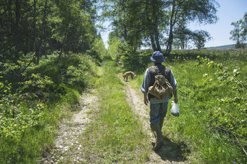 Fototapeta na wymiar Hiker walking with dogs in mountain forest