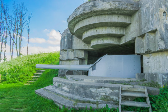 Cannon