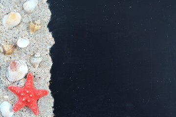 Blank chalkboard with sand, starfish and seashells as maritime or summer background