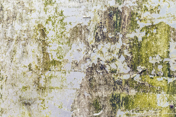 Naklejka premium Corroded white metal background