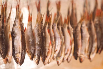 dried fish in the sun