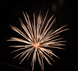 Naklejka premium fireworks