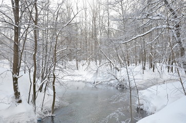 Mountain river in snowy Forest in Winter.