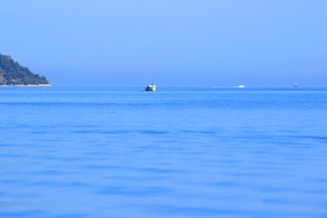 Naklejka premium Ships and boats in calm sea, morning light