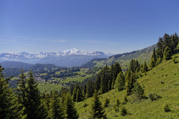 Fototapeta na wymiar Massif du Mont-Blanc depuis le Praz de Lys