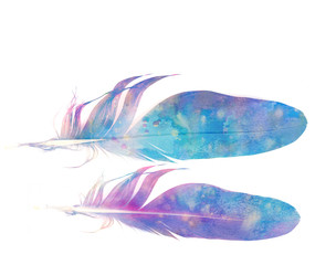 feathers with watercolors texture on white background