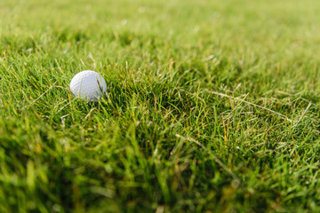Close-up view of white golf ball on green grass