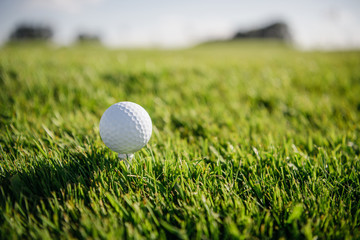 Close-up view of white golf ball on green grass
