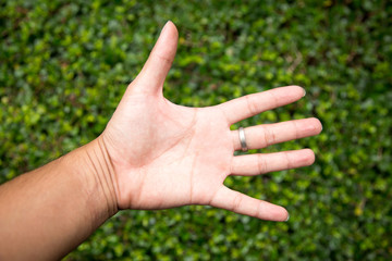 hand symbol  in the garden
