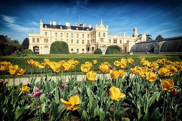 Castle of Lednice with tulips in the park