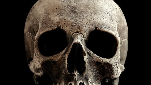 Old Skull Rotating Closeup Loop