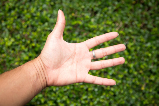 hand symbol  in the garden