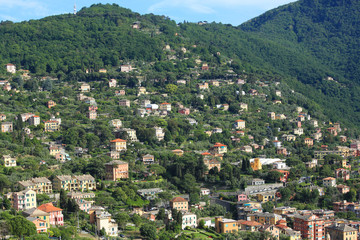 Fototapeta premium Residential area on the coast in Liguria, Italy